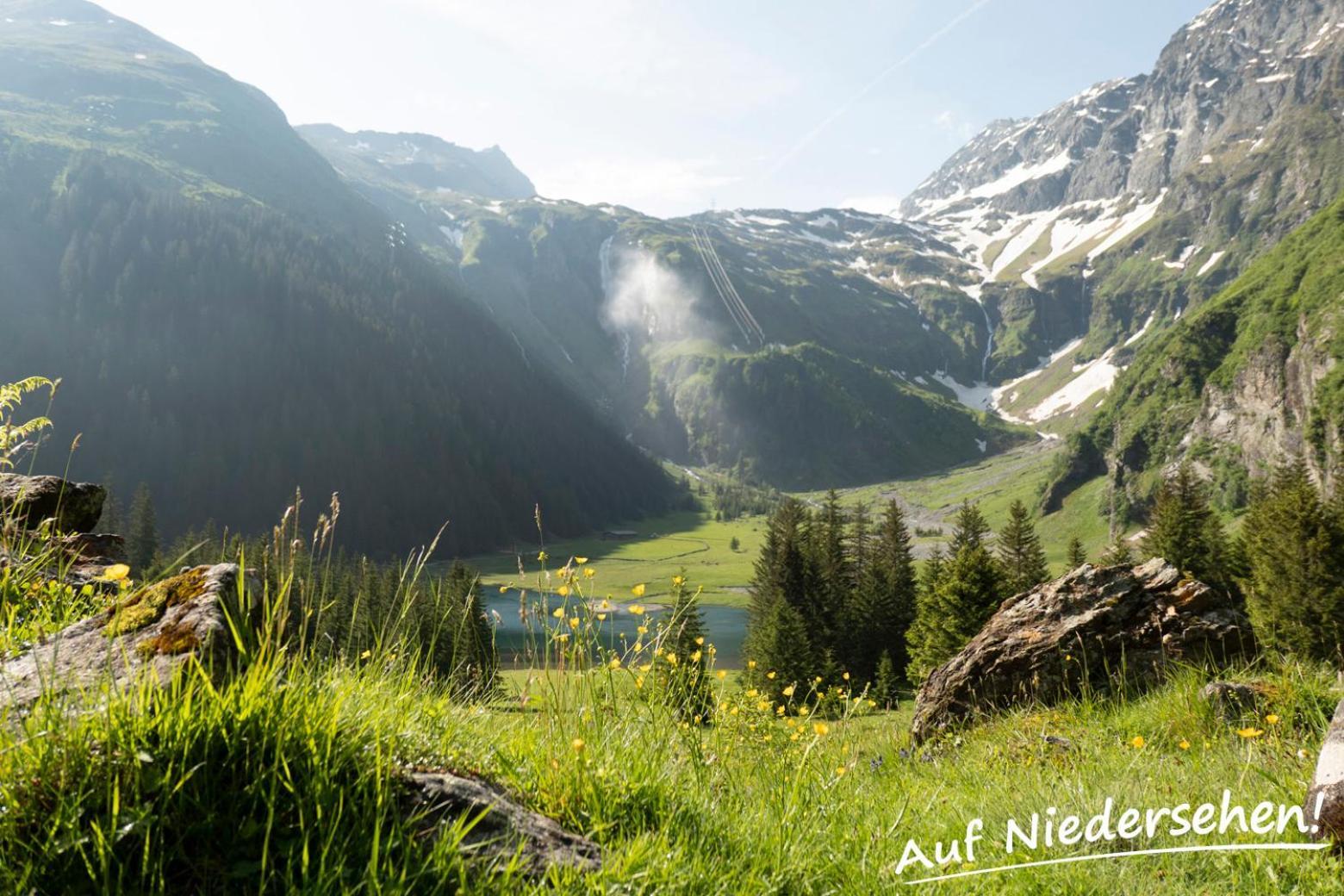 Ferienwohnung Auf Niedersehen - 8 Personen - Kitzbuehler Alpen - Hoehe Tauern Np Hollersbach im Pinzgau Exterior photo